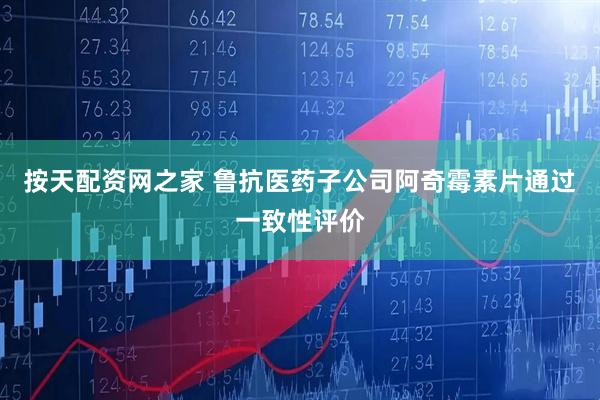 按天配资网之家 鲁抗医药子公司阿奇霉素片通过一致性评价