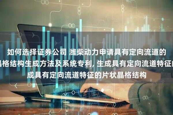 如何选择证券公司 潍柴动力申请具有定向流道的高效散热片状晶格结构生成方法及系统专利, 生成具有定向流道特征的片状晶格结构