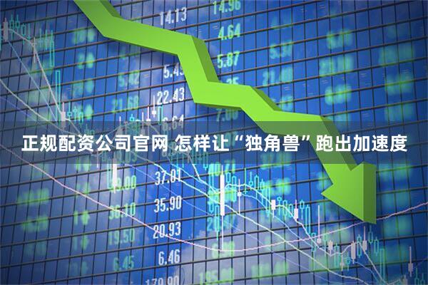 正规配资公司官网 怎样让“独角兽”跑出加速度